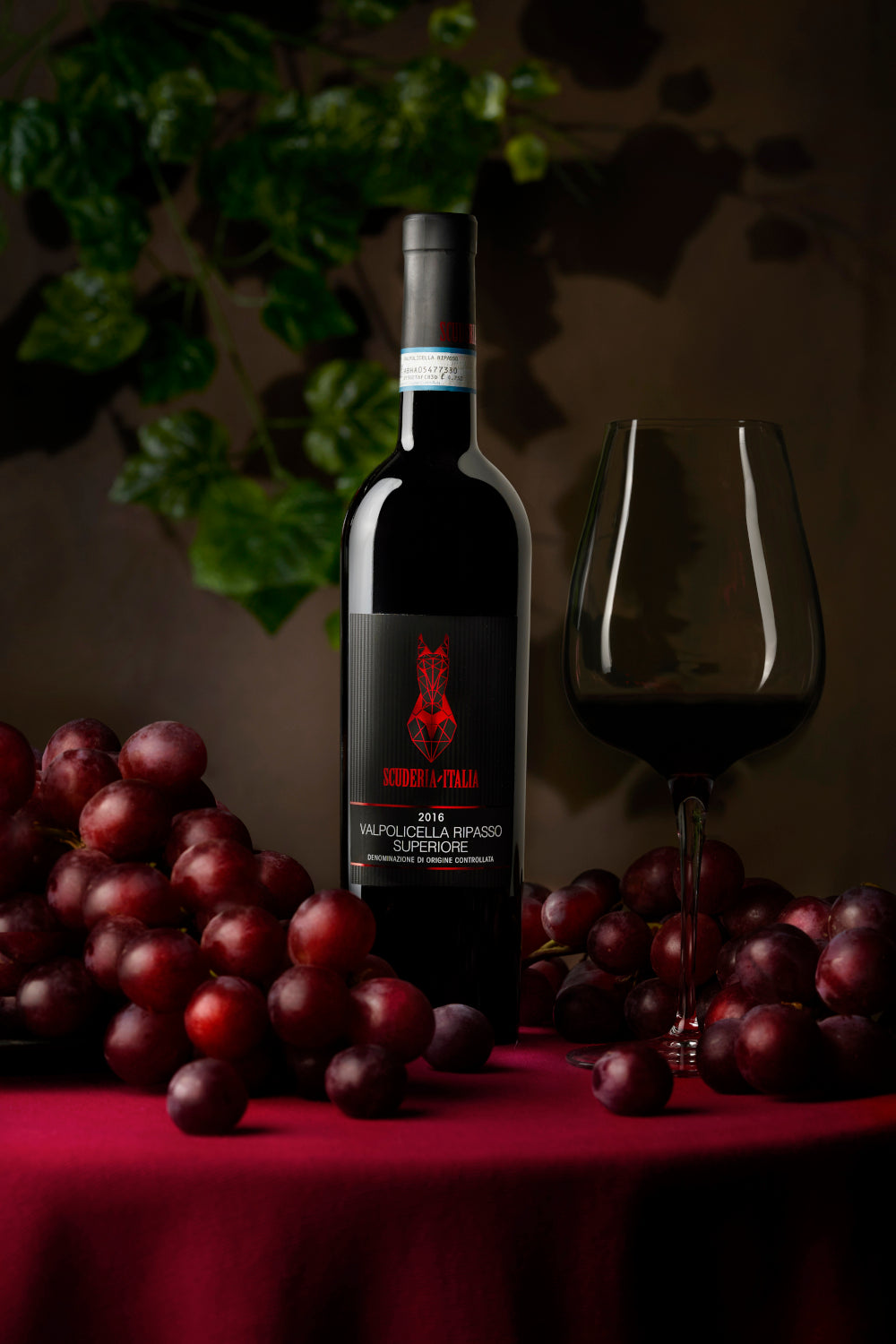 Valpolicella Ripasso Superiore DOC Scuderia Italia 2016